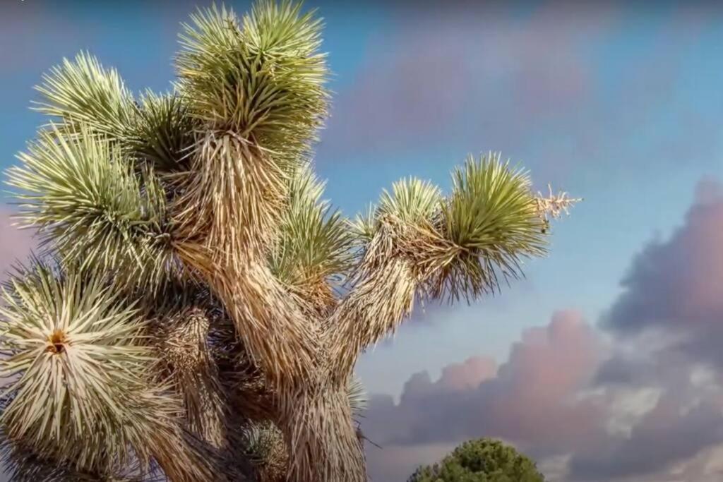 Three Tree Villa W/ Ev Charging Yucca Valley Esterno foto